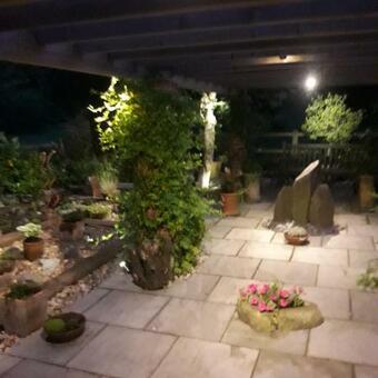 Ver fotos