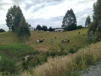 Apartamento Caba�as Maullin,refugio Del Alma