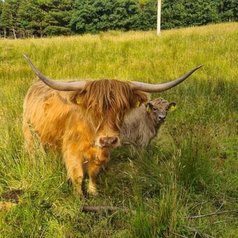 Luib House. Spacious Self-catering By The Sea.