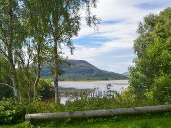 The Holiday Cottage