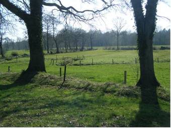 Hotel De Koningsherberg
