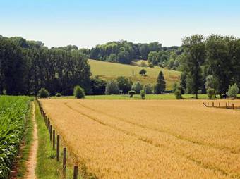 Agroturismo Holiday Home Hoeve In Gunne Winkel Wijlre III