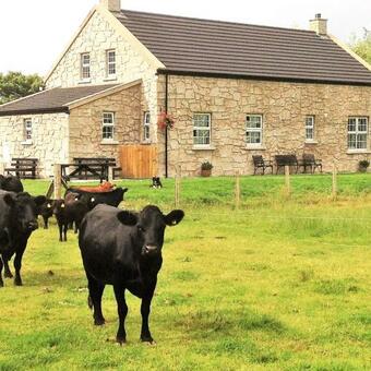 Glenhaven Holiday Accommodation