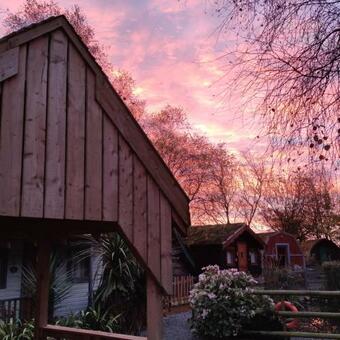 Apartamento Seaways Glamping, Redwood