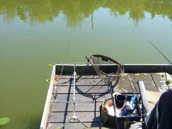 Shepherds Hut At The Beeches