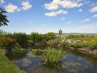 Meadow View