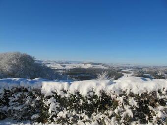 Wye Valley Forest Retreat