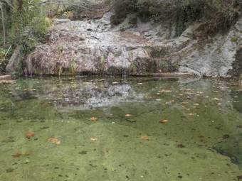 Apartaments Del Llierca