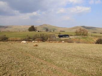 The Sheep Shed