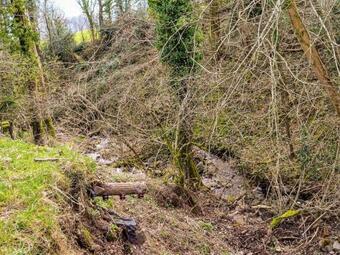 Peacock Cottage - Uk36422