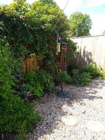 Lovely 1 Bedroom Borders Cottage