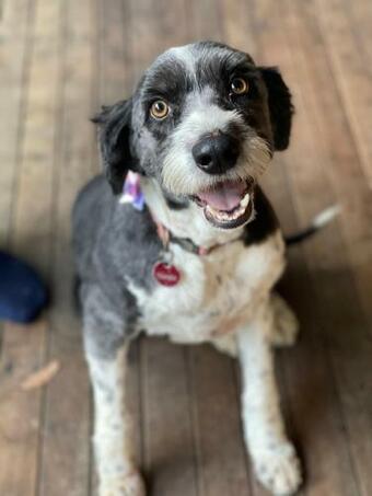 Kookajong Guesthouse