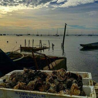 Apartamento Sunshine Corner