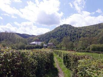 Bed & Breakfast Vall�e De L'ourthe