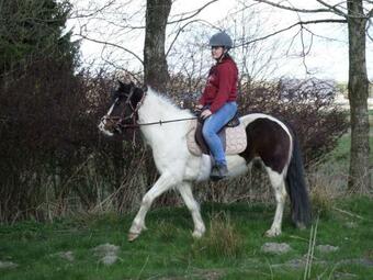 Domaine Des Gruserelles