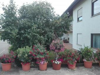 Apartamento Obere Ferienwohnung Asshoff Zwischen Odenwald, Taubertal Und Bauland