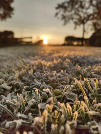 Apartamento Ferienvermietung Meerlandliebe