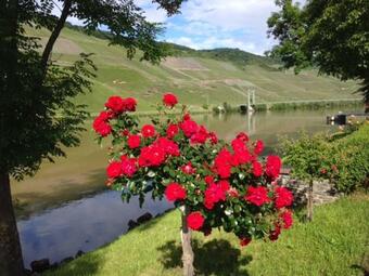 Hostal Ferien-wein-gut Keifer