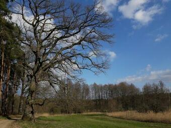 Apartamento Mirabellenhof-fewo Mit Terrasse