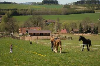 Hostal Pension Herm�na