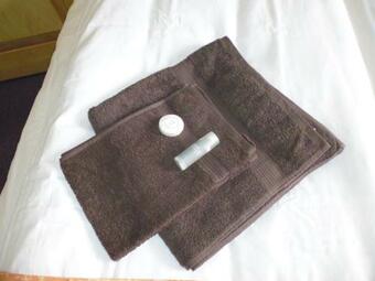 Hotel Otel Vaabensted