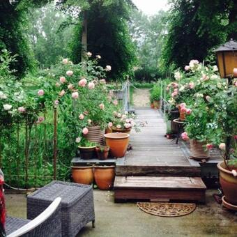 Apartamento Das Traufenhaus Am Wall - Urlaub Im Denkmal