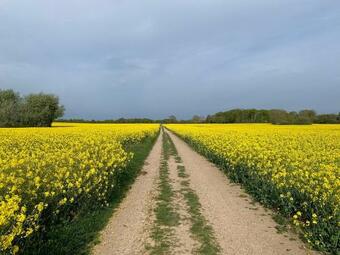 Hostal Zur Schleibr�cke