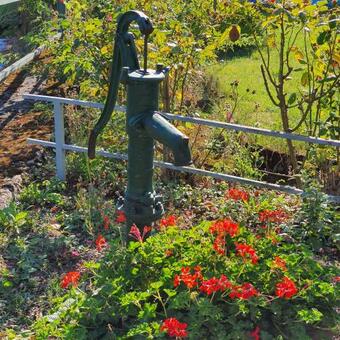 Apartamento Burgener Burgblick