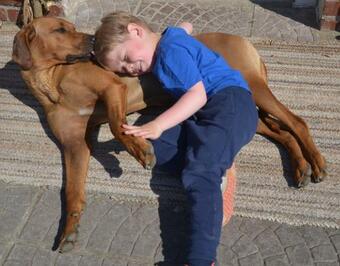 Apartamento Alpakatherapie Und Ferienhof Charlottenthal