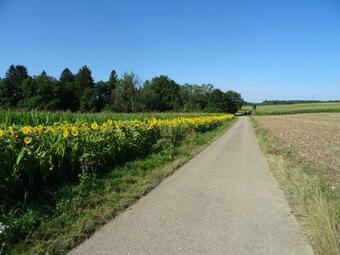 Apartamento Turm Im Blick
