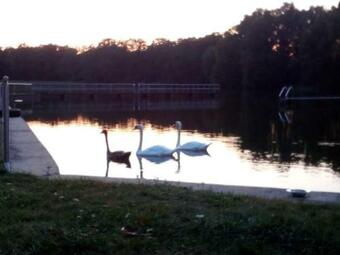 Hostal Pension Waldbad Dommitzsch