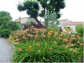 Bed & Breakfast Le Relais De L'autize