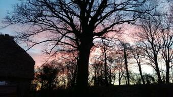 Bed & Breakfast Altes Pfarrhaus