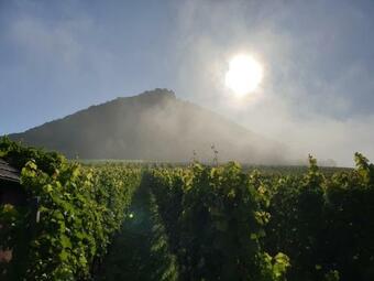 Apartamento Studio 22 Mit Freisitz Terrasse, Kaminofen, Sauna Ge�ffnet Ab Juni 2021