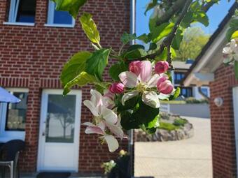 Apartamento Ferienwohnung Neustadt-wied