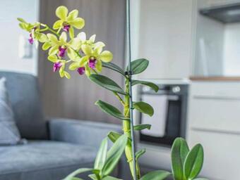 Apartamento Bantlehof