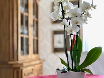 Ferienhaus & Ferienzimmer Frickental