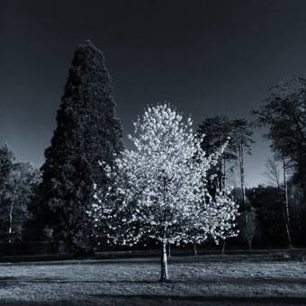 Bed & Breakfast Chambres D'h�tes La Bourbelle