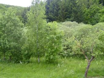 Apartamento Suite Am Radweg