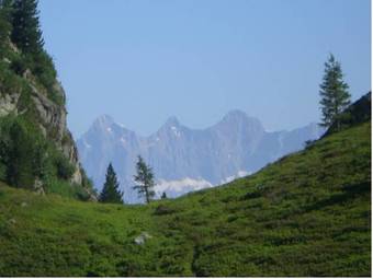 Apartamento Appartements Basti