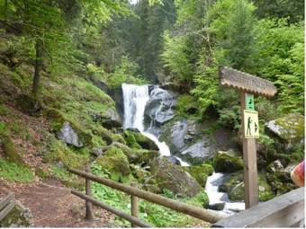 Flingermann Apartment 10 Sch�nwald