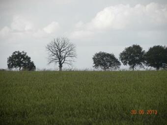 Historisches K�sterhaus Reetdachtr�ume