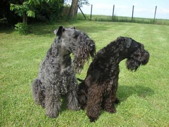 Ferienhaus Somloi Sell�