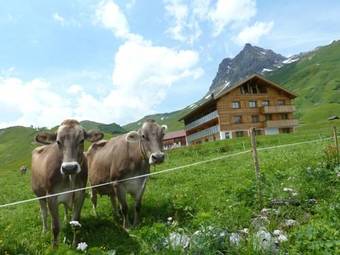 Apartamento Alphus Appartements