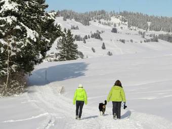 Alluring Apartment In Bernau Im Schwarzwald With Valley View
