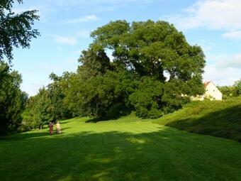 Hostal Svastics K�ria