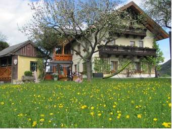 Hostal Pferdehof "hochegg"