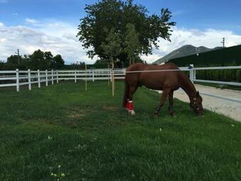 Agroturismo B. Equine Range Hotel