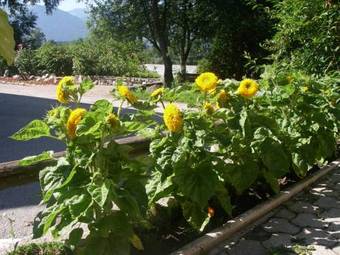 Hostal Haus Sch�n Weberhof