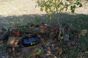 Apartamento The Cozy Spot , Mbazwana